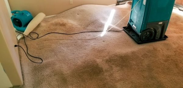 Flood Damage Cleanup in Burleson